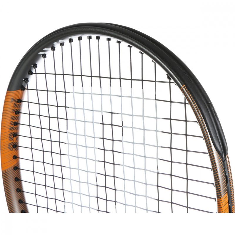 Prince Warrior 100 (285g)